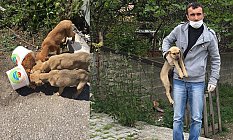 Başkan Demirtaş; Her canlının yaşama hakkı var