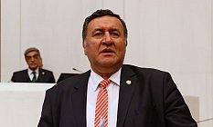 Ormanlar Risk Altında