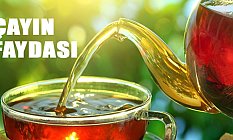 Çayın faydaları nelerdir?