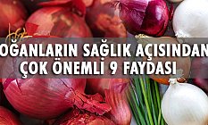 Soğanın En Önemli Faydaları Nedir?