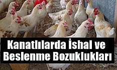 Kanatlılarda İshal ve Beslenme Bozuklukları