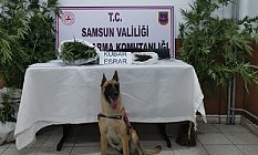 Samsun'da Uyuşturucu ve Silah Operasyonu