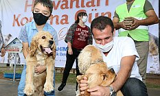 Canik'te Hayvan Koruma Etkinliği