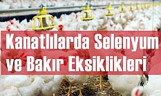 Kanatlılarda Selenyum ve Bakır Eksiklikleri
