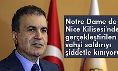 Ömer Çelik; İnsanlık dışı bir eylem
