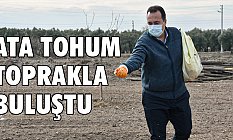Ata Tohum, Karakılçık Buğdayı Toprakla Buluştu