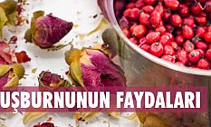 Kuşburnu Çayının En Önemli Faydaları Nedir?