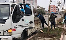 Akhisar Ring Yolu Orta Refüjünde Ağaçlandırma Çalışması