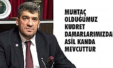 Armutçu; muhtaç olduğumuz kudret damarlarımızdaki asil kanda mevcuttur