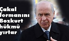 Bahçeli, Yavuz ne kadar Türk ise Şah İsmail’de o kadar Türk’tür