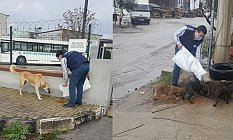 Büyükşehir Can Dostlara Desteğini Sürdürüyor