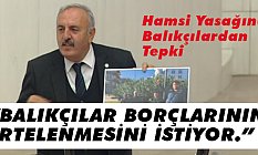 Hamsi Yasağına Balıkçılardan Tepki