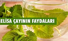 Melisa Çayının Faydaları Nelerdir, Zararları Var mı?