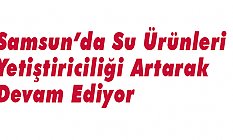 Samsun’da Su Ürünleri Yetiştiriciliği Artarak Devam Ediyor