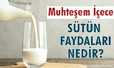 Sütün Faydaları Nedir? (Süt ve Bağışıklık)