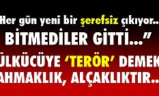 Ülkücüye 'Terör Demek' Ahmaklık, Hadsizliktir!