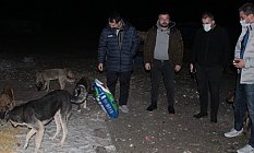 Yeni Yıla Can Dostlarla Girdiler