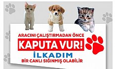 AK Parti İlkadım Gençlik Kolları, 'Kaputa Vur' Farkındalık Faaliyeti Düzenledi