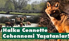Hüseyin Kurt, Kızılırmak Deltası'na da Bahar Geldi