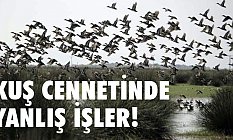 Hüseyin Kurt; Kuş Cennetinde Yanlış İşler