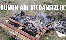Husret Soykan, Bunun Adı Vicdansızlık!