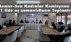 Memur-Sen Kadınlar Komisyonu 81 İlde Eş Zamanlı Basın Toplantısı
