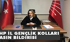 Öykü Özkan, Mustafa Kemaller Tükenmez!
