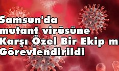 Samsun'da mutant virüsüne Karşı Özel Bir Ekip mi Görevlendirildi