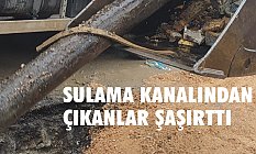 Sulama Kanalından Bu da Çıktı!