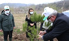 Fatsa’da 160 Fidan Toprakla Buluştu