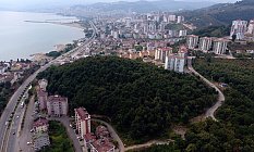 Fatsa'da Çerkezler Tepesi Örnek Olacak!