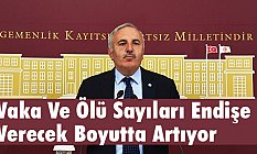 Yaşar, Vaka Ve Ölü Sayıları Endişe Verecek Boyutta Artıyor