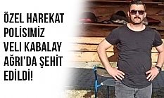 Özel Harekat Polisimiz Veli Kabalay Ağrı'da Şehit Edildi