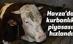Havza’da kurbanlık satış piyasası hız kazandı