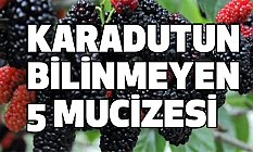 Karadutun Bilinmeyen 5 Mucizesi Nedir?