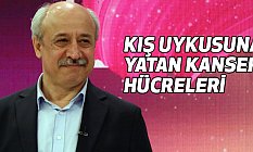 Dr. Şenol Şensoy, Kemoterapi neden bazı kanser hastalarında etkili olmuyor?