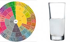 İlk Rakı Artık Dünyada da Tescilli