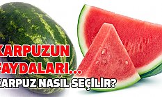 Karpuzun Faydaları Nedir, Nasıl Seçilmelidir?