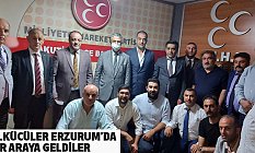 Ülkücüler Erzurum'da Bir Araya Geldi