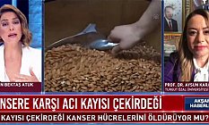 Acı Kayısı Çekirdeği’nin Kanser Hücrelerine Etkisi Nedir?