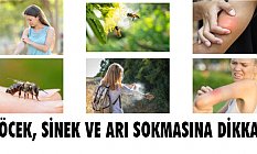 Böcek ve Sivrisinek Sokmalarına Dikkat!