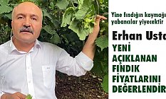 Erhan Usta, Fındık Fiyatlarını Değerlendirdi