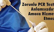 Geylan: Zorunlu PCR Testi Anlamsızdır! Amaca Hizmet Etmez!