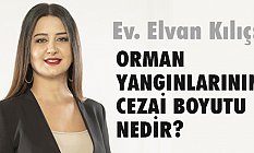 Orman Yangınlarının Cezai Boyutu Nedir?