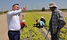 Hasan Eryılmaz: Üzüm üreticisine üvey evlat muamelesi