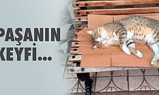 Paşanın Keyfi...