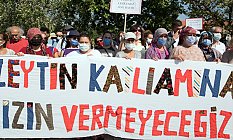 Seferihisar'da Zeytin ağaçlarını Korumak İçin Dava Açan Köylüler Kazandı
