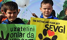 Büyükşehirden 'Pati Şenliği'