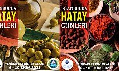 İstanbul'da Hatay Günleri
