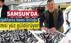 Samsun'da Hamsi Bolluğu